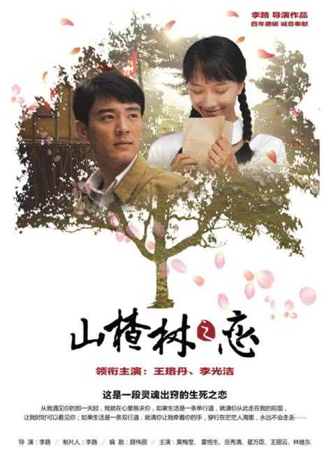 2011国剧《山楂树之恋》全集 HD720P 迅雷下载