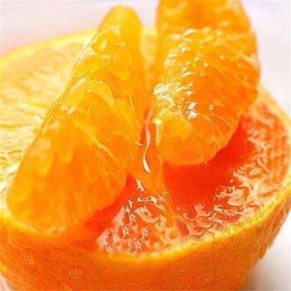 橙子是杂交的吗？橙子竟然是橘子和柚子杂交而来的？