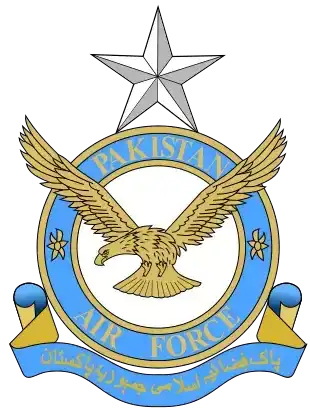 巴基斯坦空军标志：空军（1）