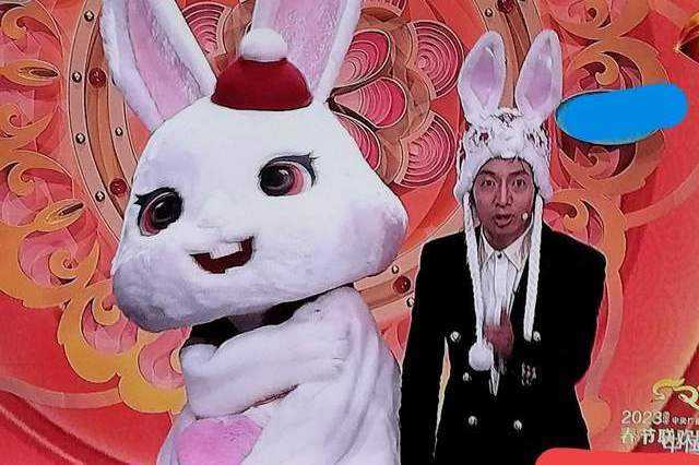 兔年春晚6个冷知识：广告满天飞，观众都不戴口罩，兔与花有深意
